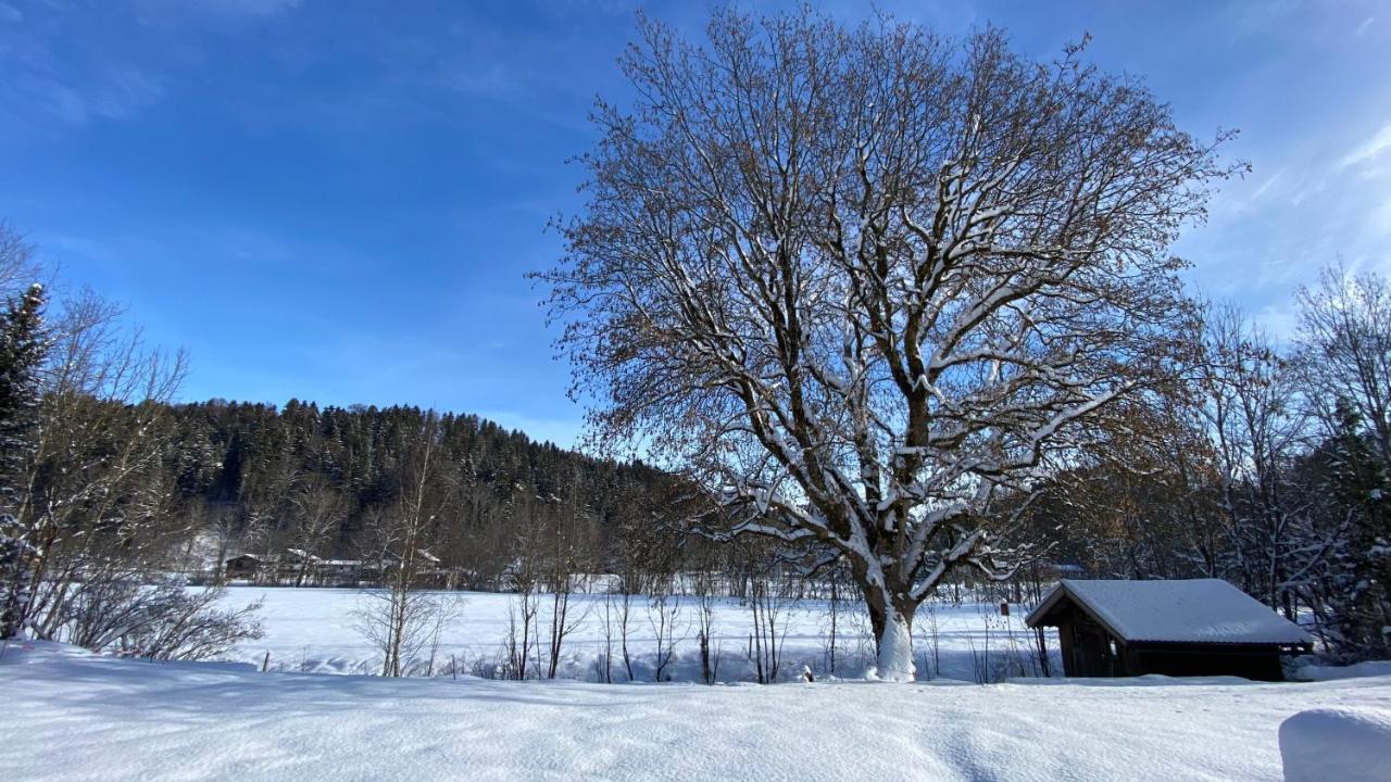 Pure Nature Munich - Alps Fischbachau Dış mekan fotoğraf